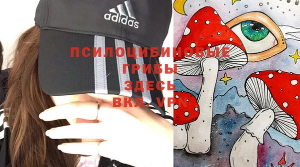 трава Богородицк