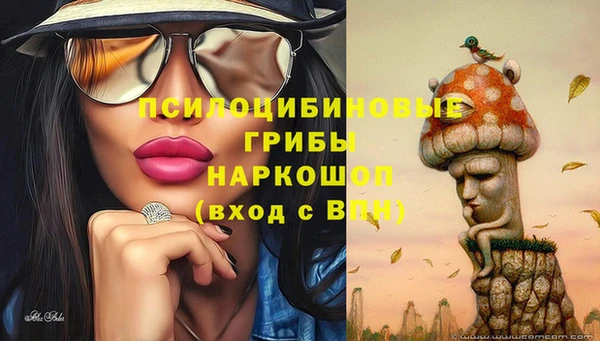 стафф Покачи