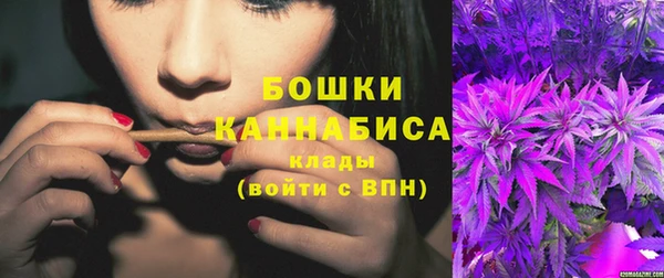 ГАЛЛЮЦИНОГЕННЫЕ ГРИБЫ Покров