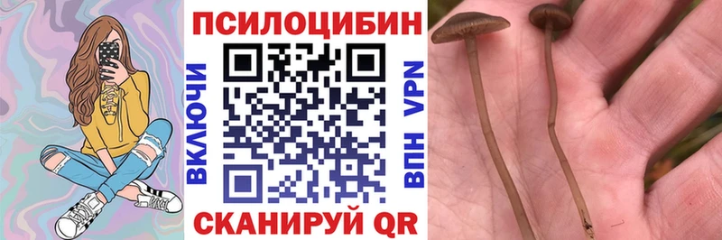 KRAKEN зеркало  Южноуральск  Галлюциногенные грибы ЛСД  как найти наркотики 